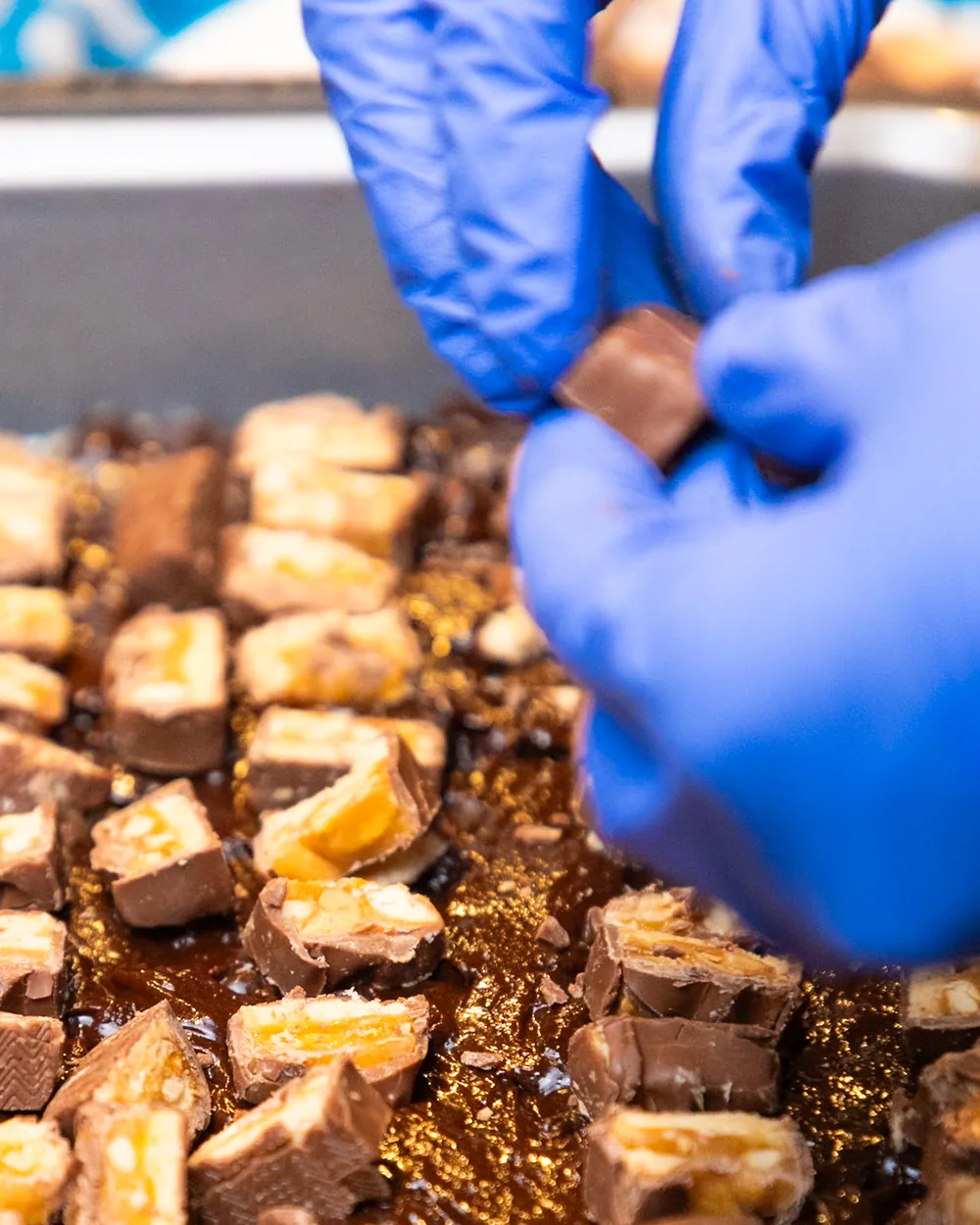 Gloved hands pressing chopped candy bars into a tray of brownie batter.